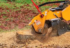 Leaf Removal in Canonsburg, PA